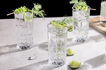 Cucumber and fennel gin & tonic