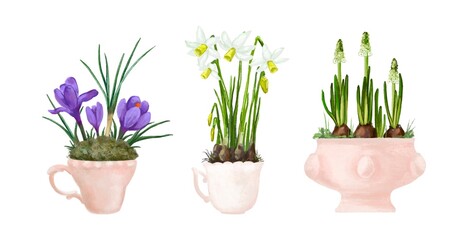 Flowers in a pot. Budding primroses. Crocus, tulip, narcissus, snowdrop. Hyacinth, muscari. Hello spring, gardening at home. Romantic style, retro