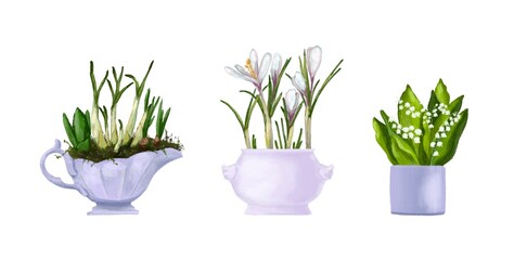 Flowers in a pot. Budding primroses. Crocus, tulip, narcissus, snowdrop. Hyacinth, muscari. Hello spring, gardening at home. Romantic style, retro