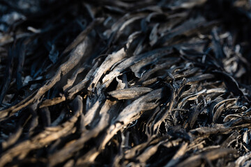 Background of stack dry leaves on ground