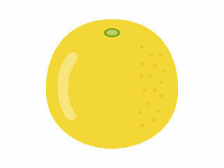 グレープフルーツのイラスト
