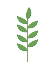 foliage nature icon