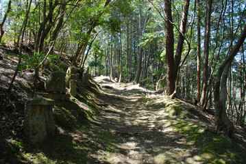 石塔寺　参道の石仏　滋賀県東近江市