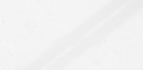 Abstract blurred background. reflection of leaves and gray light lines. reflected on the white concrete wall.