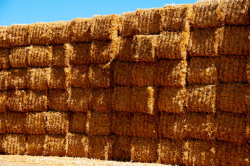 Straw Bales in the Field