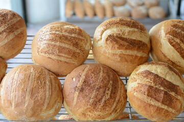 Freshly baked round bread.