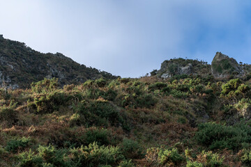 Fototapeta na wymiar Cliff landscape of Cabo Ortegal Spain