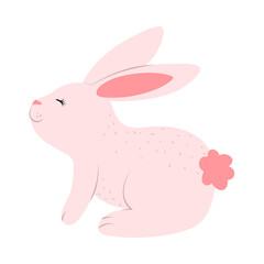 rabbit cartoon icon