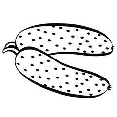 Black and white drawing of cucumbers for coloring. Vegetables for coloring book. Vector illustration