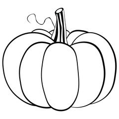 Black and white drawing of a pumpkin for coloring. Vegetables for coloring book. Vector illustration