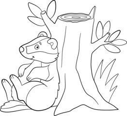 Coloring page. Little cute badger sits near the stump and smiles.