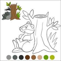 Color me: wild animals. Little cute badger sits near the stump and smiles.