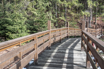 Fototapeta na wymiar Wooden bridge in the park area. Wooden bridge over the pond. Wooden bridge in the park landscape. 