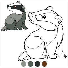 Color me: wild animals. Little cute baby badger sits and smiles.