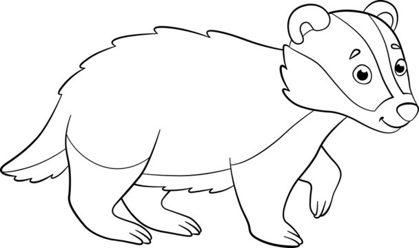 Coloring page. Little cute badger stands and smiles.