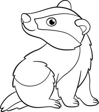 Coloring page. Little cute baby badger stits and smiles.