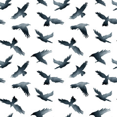Collection of different birds position. Watercolor hand drawn seamless pattern with illustration of flock of crows and ravens birds silhouettebisolated on white background. Dark blue, black gradient.