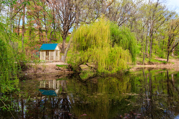 Obraz premium View of the Krasnokutsk park, Kharkiv region, Ukraine