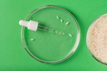 Pipette in a petri dish of rice water, making cosmetic products from fermented ingredients. Holistic beauty concept