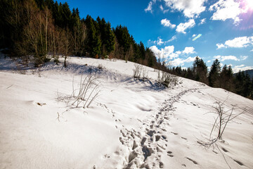Fototapeta na wymiar winter walk in the snowy mountains