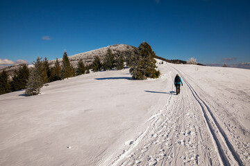 winter walk in the snowy mountains