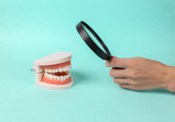 Hand holds a magnifying glass and examines a model of a human jaw on a blue background