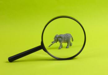 Toy elephant through magnifying glass on green background