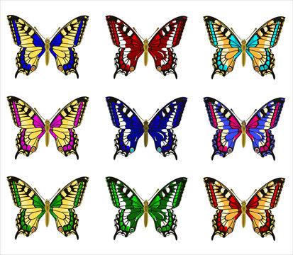 Vector collection of butterflies