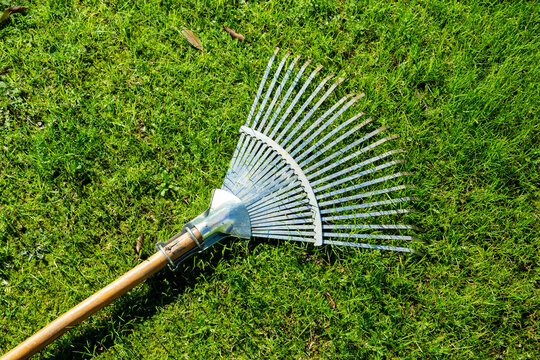 Garden rake on the lawn. Garden rake with wooden handle made of bright steel. Spring, gardening, farming concept.