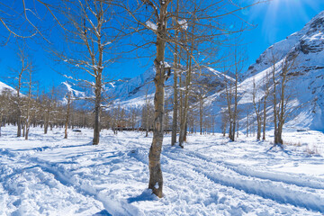 White snow covered Lahaul valley in Himachal pradesh, India. Brown woods and whilte snow capped mountains creates a winter fairyland. Magical winter wonderland lahaul valley in December and January
