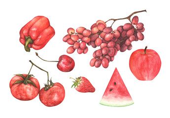 Red vegetables and fruit set. Isolated on white background. Watercolor illustration.