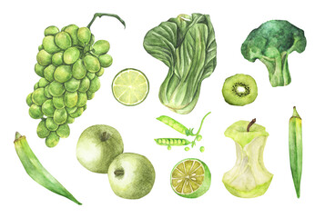 Green vegetables and fruit set. Isolated on white background. Watercolor illustration.