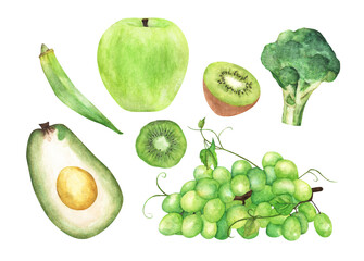 Green vegetables and fruit set. Isolated on white background. Watercolor illustration.