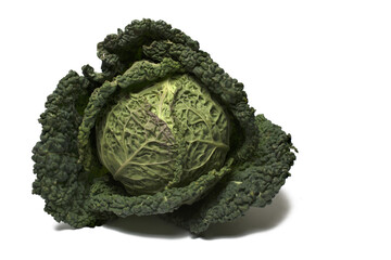 Closeup green ripe cabbage head white background