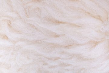 White animal fur. Weasel or cat hair. Fur clothes, white fur coat close up.