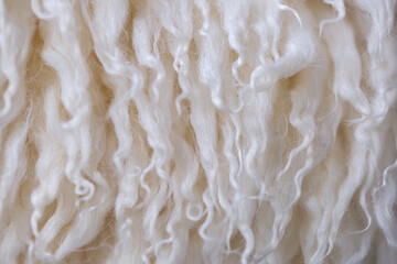 White animal fur. Weasel or cat hair. Fur clothes, white fur coat close up.