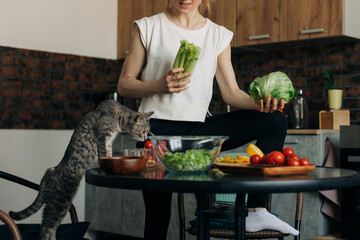 Domestic cat on the table in the kitchen sniffs the salad that the girl cooks at home
