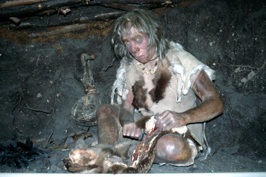Authentic stone age man sat in a cave preparing animal skins. Human evolution concept