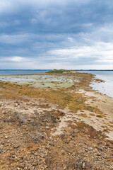 Brittany, panorama of the Morbihan gulf, view from the Ile aux Moines, seascape at low tide 
