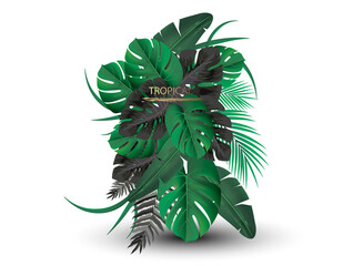 Vector banners set with green tropical leaves on black background. Exotic botanical design for cosmetics, spa, perfume, beauty salon, travel agency, florist shop. Best as wedding invitation cards