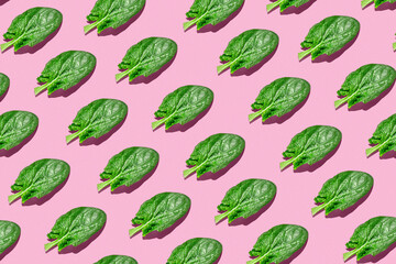 Spinach leaf on colored background. Spinach pattern, flatlay, top view