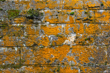 Mit orangenen Flechten bewachsene Steinmauer