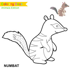 Children coloring page of animal kingdom. Kids art activity page. Funny coloring game. Preschool education developing worksheet. Black and white vector illustration. Motor skills education.