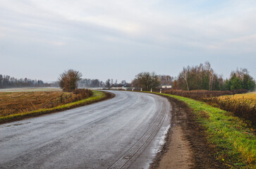 Fototapeta na wymiar An asphalt road leading to the village on an early autumn cloudy morning in Russia