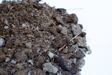 Dry cow dung, Close up