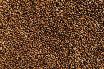 buckwheat close-up. raw buckwheat macro. buckwheat texture full screen