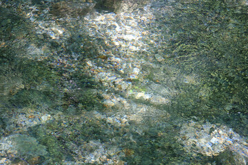 맑고 깨끗한 계곡물 