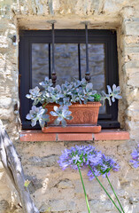 succulent plant in a flower pot at the edge of a window of a stone house