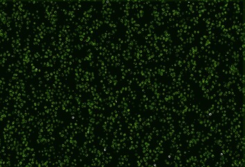 Light Green vector pattern with spheres.