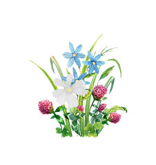 Wildflowers watercolor bouquet. Hand drawn cosmos flower, clover, chamomile and grass.